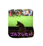 鍼灸マッサージ治療院LifeBuddy イフちゃん（個別スタンプ：11）