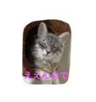 鍼灸マッサージ治療院LifeBuddy イフちゃん（個別スタンプ：14）