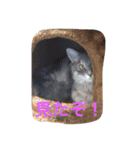 鍼灸マッサージ治療院LifeBuddy イフちゃん（個別スタンプ：16）