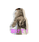 鍼灸マッサージ治療院LifeBuddy イフちゃん（個別スタンプ：18）