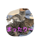 鍼灸マッサージ治療院LifeBuddy イフちゃん（個別スタンプ：22）