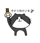 にゃーちゃんふれんず。4（個別スタンプ：12）