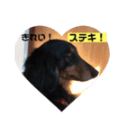 ココちゃんとご挨拶♪(*^^)o∀(ᵔᴥᵔ)（個別スタンプ：5）