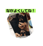 ココちゃんとご挨拶♪(*^^)o∀(ᵔᴥᵔ)（個別スタンプ：6）