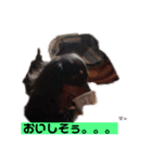 ココちゃんとご挨拶♪(*^^)o∀(ᵔᴥᵔ)（個別スタンプ：9）