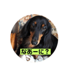 ココちゃんとご挨拶♪(*^^)o∀(ᵔᴥᵔ)（個別スタンプ：12）