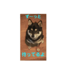 シバココ日和3（個別スタンプ：16）
