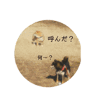 シバココ日和3（個別スタンプ：21）