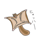 割と愉快な動物達（個別スタンプ：36）