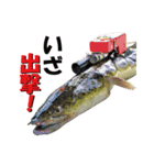 カッコいい熱帯ウナギ（個別スタンプ：12）
