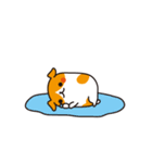 プイモだよ！第二弾（個別スタンプ：20）