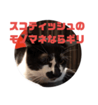 雑種ねこ英世（ひでよ）の日常。冬編。（個別スタンプ：7）