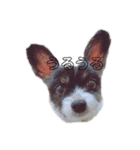 犬とたまごなど！（個別スタンプ：2）
