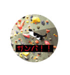 ハチワレ猫choro.ver2.1（個別スタンプ：6）
