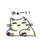 ふかふかねこさん（個別スタンプ：3）