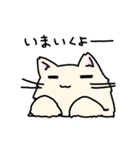 ふかふかねこさん（個別スタンプ：17）