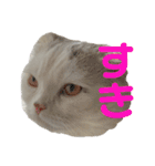 垂れ耳ねこのグリコくん2（個別スタンプ：9）
