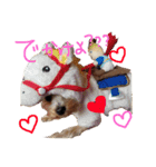 犬スタンプ キュート（個別スタンプ：3）