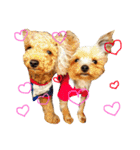 犬スタンプ キュート（個別スタンプ：6）