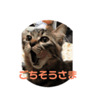 またちです（個別スタンプ：5）