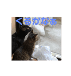 またちです（個別スタンプ：6）