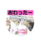 桑田家スタンプ6（個別スタンプ：22）