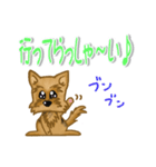 目で語る可愛い犬ラッキーシリーズその1（個別スタンプ：1）