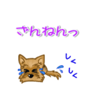 目で語る可愛い犬ラッキーシリーズその1（個別スタンプ：5）