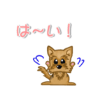目で語る可愛い犬ラッキーシリーズその1（個別スタンプ：9）