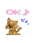 目で語る可愛い犬ラッキーシリーズその1（個別スタンプ：10）