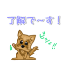 目で語る可愛い犬ラッキーシリーズその1（個別スタンプ：11）