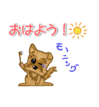 目で語る可愛い犬ラッキーシリーズその1（個別スタンプ：12）