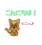 目で語る可愛い犬ラッキーシリーズその1（個別スタンプ：13）