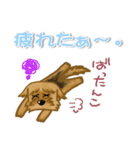 目で語る可愛い犬ラッキーシリーズその1（個別スタンプ：17）
