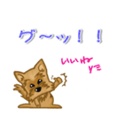 目で語る可愛い犬ラッキーシリーズその1（個別スタンプ：20）