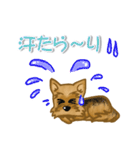 目で語る可愛い犬ラッキーシリーズその1（個別スタンプ：21）