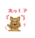 目で語る可愛い犬ラッキーシリーズその1（個別スタンプ：24）