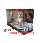 めるくんスタンプ最新（個別スタンプ：17）