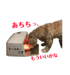 めるくんスタンプ最新（個別スタンプ：22）