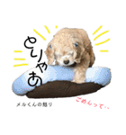 めるくんスタンプ最新（個別スタンプ：33）