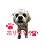 めるくんスタンプ最新（個別スタンプ：35）