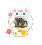 シャルロットの呟き ②（個別スタンプ：7）