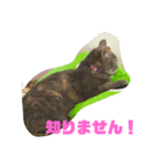 シャルロットの呟き ②（個別スタンプ：11）
