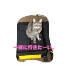 シャルロットの呟き ②（個別スタンプ：16）