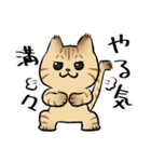 キジトラとハチワレ2（個別スタンプ：2）