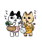 キジトラとハチワレ2（個別スタンプ：3）