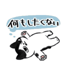 キジトラとハチワレ2（個別スタンプ：8）