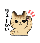 キジトラとハチワレ2（個別スタンプ：9）