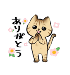 キジトラとハチワレ2（個別スタンプ：10）