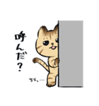 キジトラとハチワレ2（個別スタンプ：15）